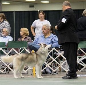 Meet your Posher, Tim